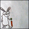 Аватар для combat_rabbit